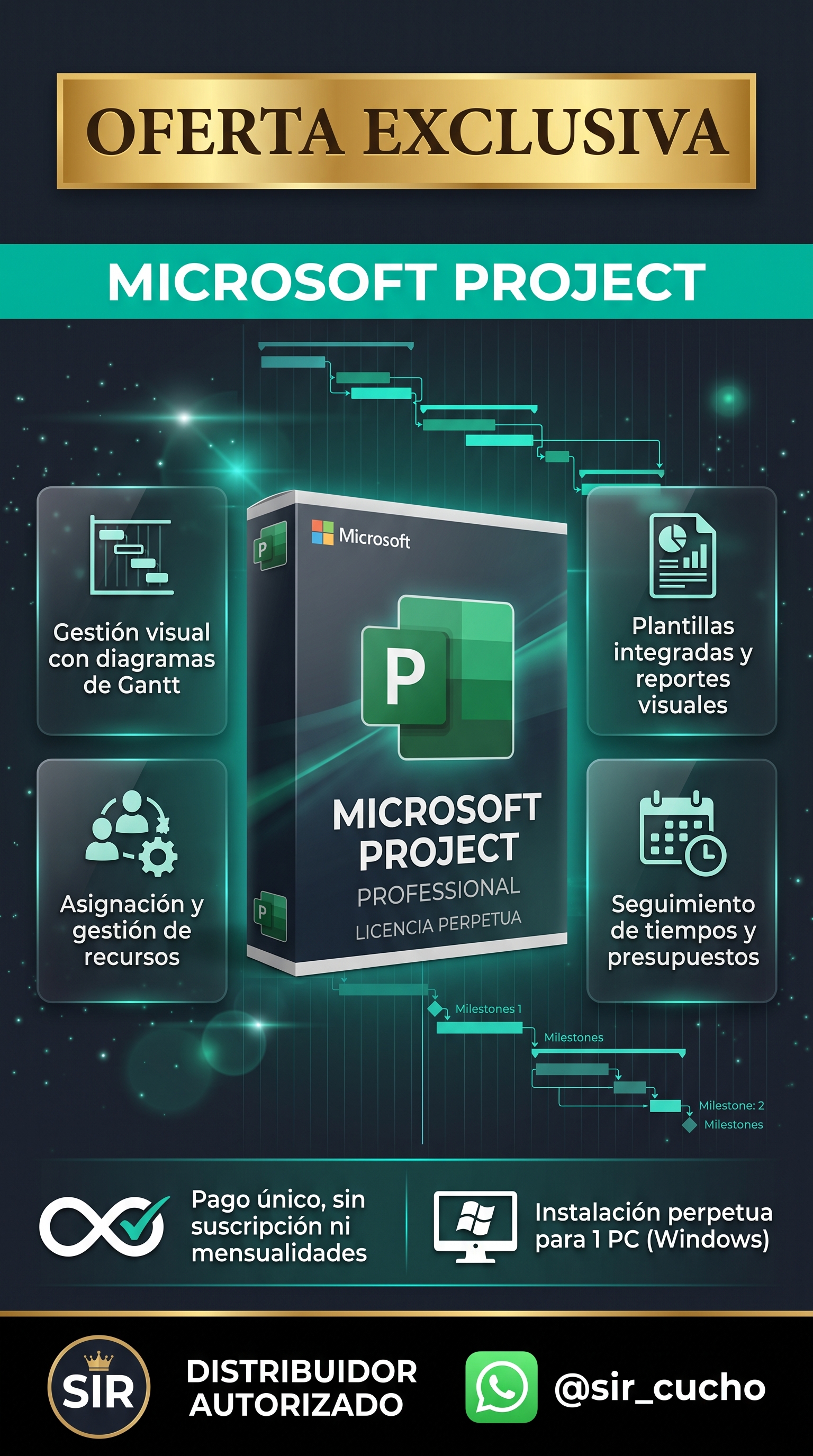 MS Project
